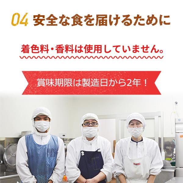 レトルトカレー 五島の鯛で出汁をとったなんにでもあうカレー プレーン 30袋セット｜nagasakigoto02｜09