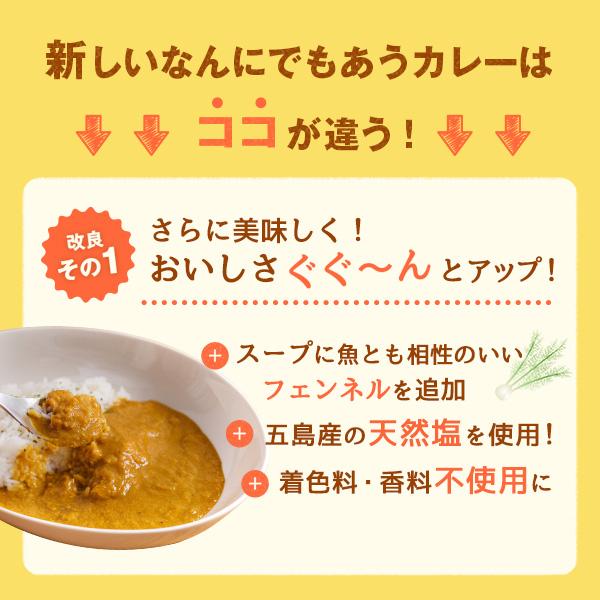 カレー レトルトカレー 五島の鯛で出汁をとったなんにでもあうカレー プチセット プレーン 4袋セット｜nagasakigoto02｜02