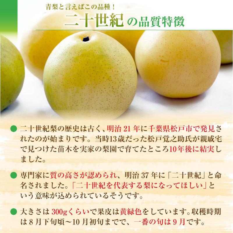 １着でも送料無料 予約 8月1日 8月15日の納品 二十世紀 梨 3kg 6 10玉 鳥取県産 世紀 通販 旬の果物 フルーツ ギフト くだもの なし 和梨 果実専用箱