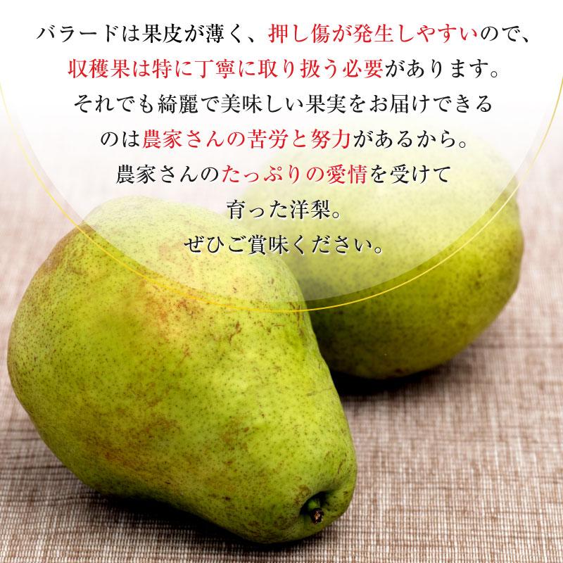 信州産　サンセーキ梨   3kg