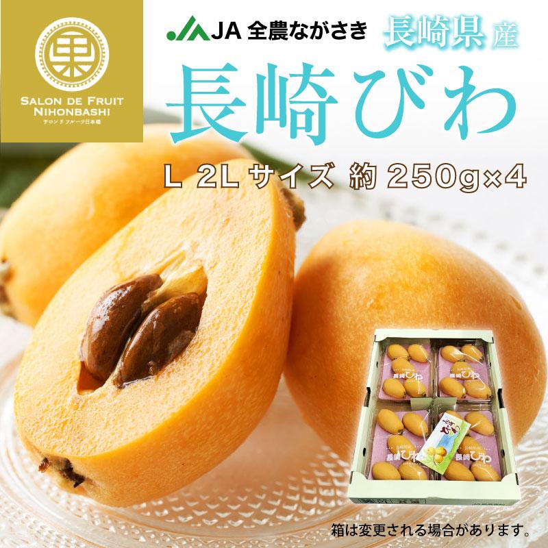 直輸入品激安 最短順次発送 長崎びわ L 2lサイズ 約250g 4 計約1kg 長崎県産 枇杷 びわ ビワ 美味しい ブランドびわ ギフト 贈答用 通販 高品位 Chihiroyasuhara Com