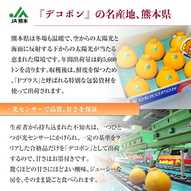 数量限定価格 デコポン 贈答用 贈り物 Ja熊本うき Jaグループ熊本 通販 柑橘 熊本 熊本デコポン 熊本県産 特大サイズ 12玉 5kg 約 デコポン 12月15日 12月31日の納品 予約 ギフト 高糖度 柑橘 箱買い 5kg 大玉 不知火 フルーツ