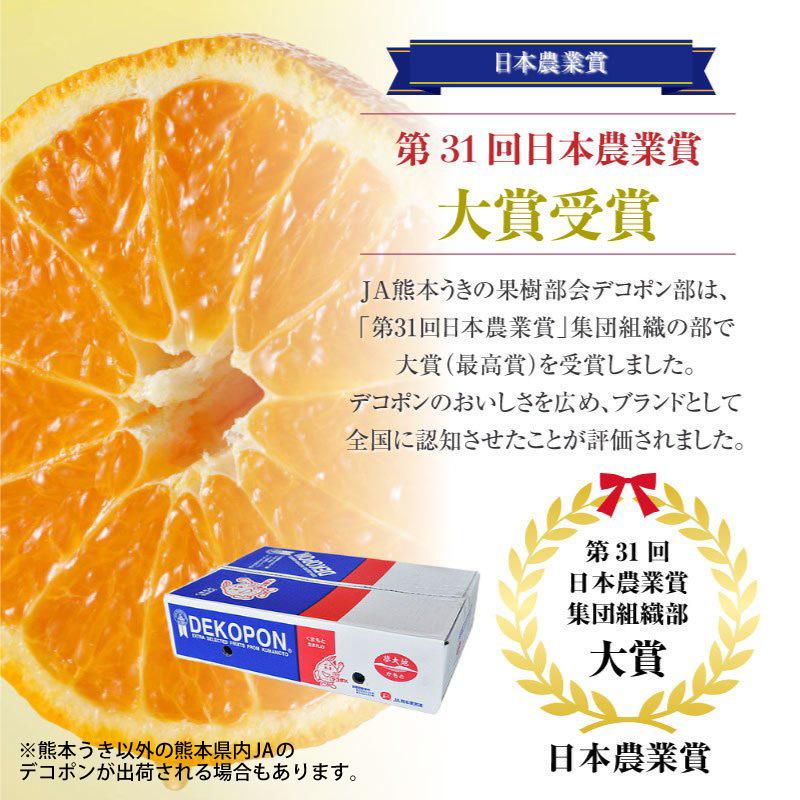 数量限定価格 デコポン 贈答用 贈り物 Ja熊本うき Jaグループ熊本 通販 柑橘 熊本 熊本デコポン 熊本県産 特大サイズ 12玉 5kg 約 デコポン 12月15日 12月31日の納品 予約 ギフト 高糖度 柑橘 箱買い 5kg 大玉 不知火 フルーツ
