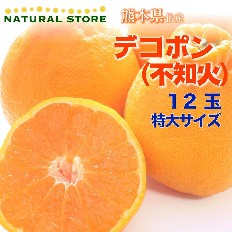 最終値下げ デコポン 不知火 特大 12玉 熊本県 愛媛県 佐賀県 産 柑橘 高糖度 みかんの王様 ギフト フルーツギフト 果物ギフト 順次発送 最新人気 Kuljic Com