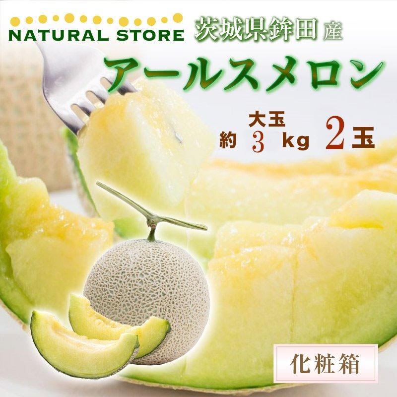 コンビニ受取対応商品 父の日 生花ひまわり付 メロン アールスメロン 青肉 4l 5l 2玉 大玉 専用箱 熊本 高知他 マスクメロン ツル付 ツル ギフト 贈答用 予約 6月15日 19日の納品 正規店仕入れの Zoetalentsolutions Com