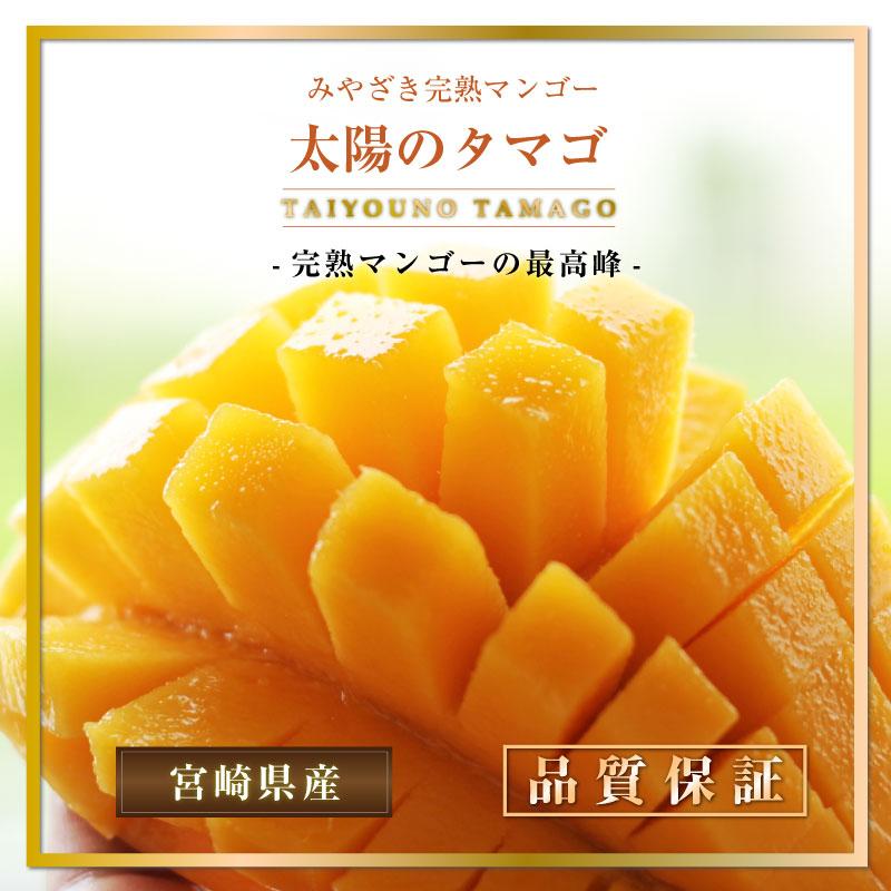 公式サイト[最短順次発送] 太陽のタマゴ 青秀品 完熟マンゴー 1玉 5L