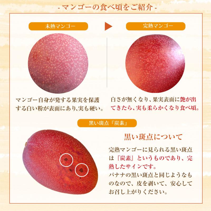 予約 7月26日-8月15日の納品] 完熟マンゴー 大玉 2L 9玉 正箱 宮崎県産