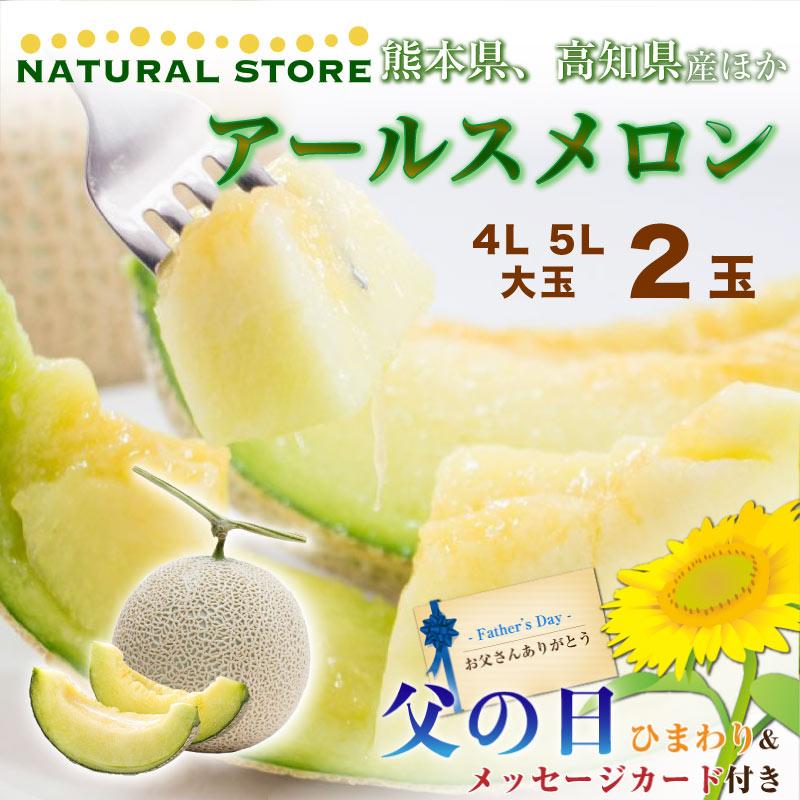 最安値 遅れてごめんね 父の日 生花ひまわり付 メロン アールスメロン 青肉 4l 5l 2玉 大玉 専用箱 熊本 高知 マスクメロン ギフト 贈答 予約 6月21日 7月10日の納品 楽天カード分割 Vinylspotnyc Com