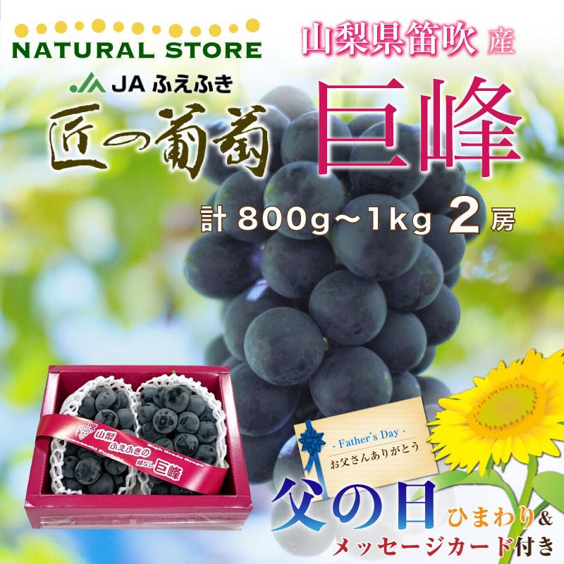 絶対一番安い 遅れてごめんね 父の日 生花ひまわり付 巨峰 匠の葡萄 ぶどう 約1kg 約500g X 2房 山梨県産 笛吹産 Jaふえふき 葡萄 贈答用 予約 6月21日 7月10日の納品 新品本物 Technet 21 Org