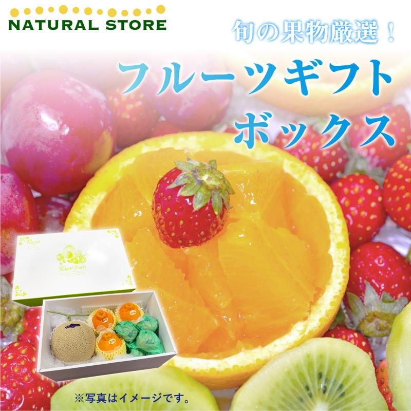 早割クーポン フルーツギフトボックス 化粧箱 ギフト 御贈答 プレゼント 詰め合わせ 旬果 セット 順次発送 新着商品 Www Angkaalam Com