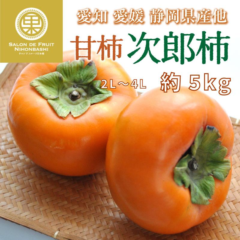 予約 23年11月1日 11月30日の納品 次郎柿 甘柿 2l 4l 約5kg 愛知県 愛媛県 静岡県産 秋ギフト じろうがき 甘柿 化粧箱 柿 冬ギフト お歳暮 御歳暮 Jirou5k2l サロンドフルーツ 日本橋 通販 Yahoo ショッピング