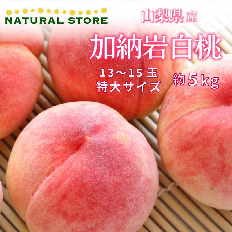 超美品再入荷品質至上! 予約 7月1日-7月31日の納品 加納岩白桃 約5kg 13-15玉 特大 山梨県産 白桃 桃 もも 御中元 お中元 ギフト 超美品再入荷品質至上! 予約 7月1日-7月31日の納品 加納岩白桃 約5kg 13-15玉 特大 山梨県産 白桃 桃 もも 御中元 お中元 ギフト