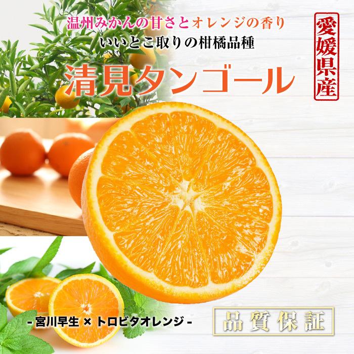 楽天ランキング1位 きよみ 清見タンゴール オレンジ 高品位 えひめフルーツ 贈答用 愛媛県産 愛媛 10kg 2l L 清見 清見タンゴール 清見オレンジ 22年3月上中旬頃より発送 予約 ギフト 中玉サイズ 柑橘 10kg箱 フルーツ Postetelecom Gouv Cg