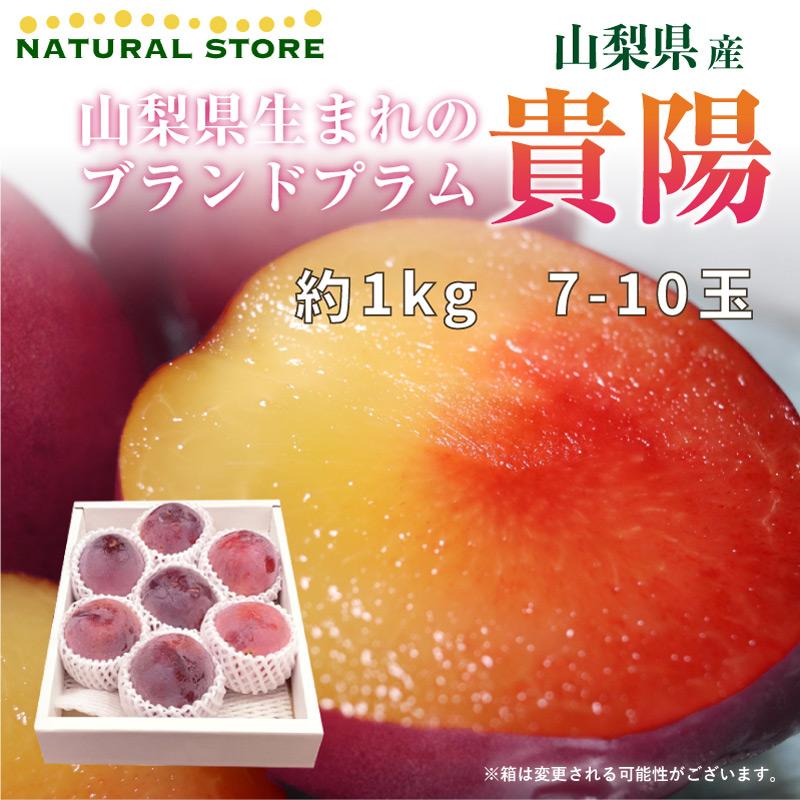 宅配便送料無料 最短順次発送 プラム すもも 貴陽 約1kg 7 10玉 化粧箱 山梨県産 きよう 御中元 お中元 ギフト