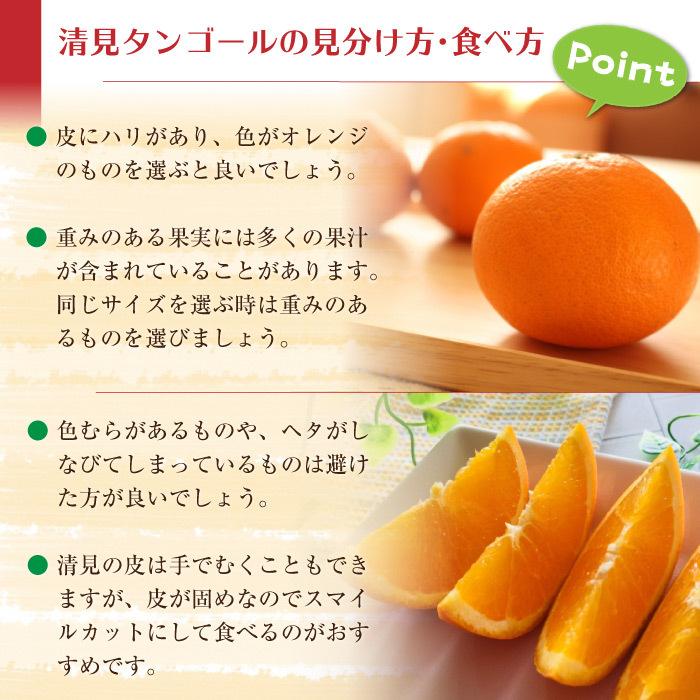 ふるさと納税 美浜町 伊予柑 いよかん 約5kg 和歌山県有田産春みかん サイズ