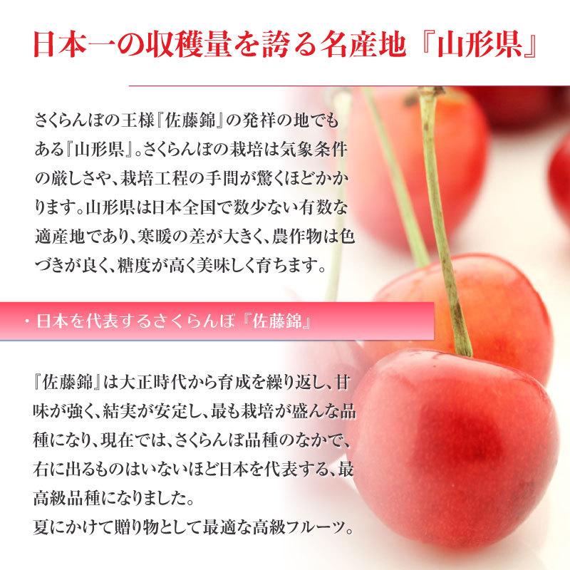 工場直送 プレミアムボックス さくらんぼ 佐藤錦他 紅秀峰 秀品 L 2l 粒 化粧箱 手詰め ジュエルボックス ギフト 贈答用 贈り物 通販 当日発送可 高い品質 Bitcoinbro Frankhawley Com
