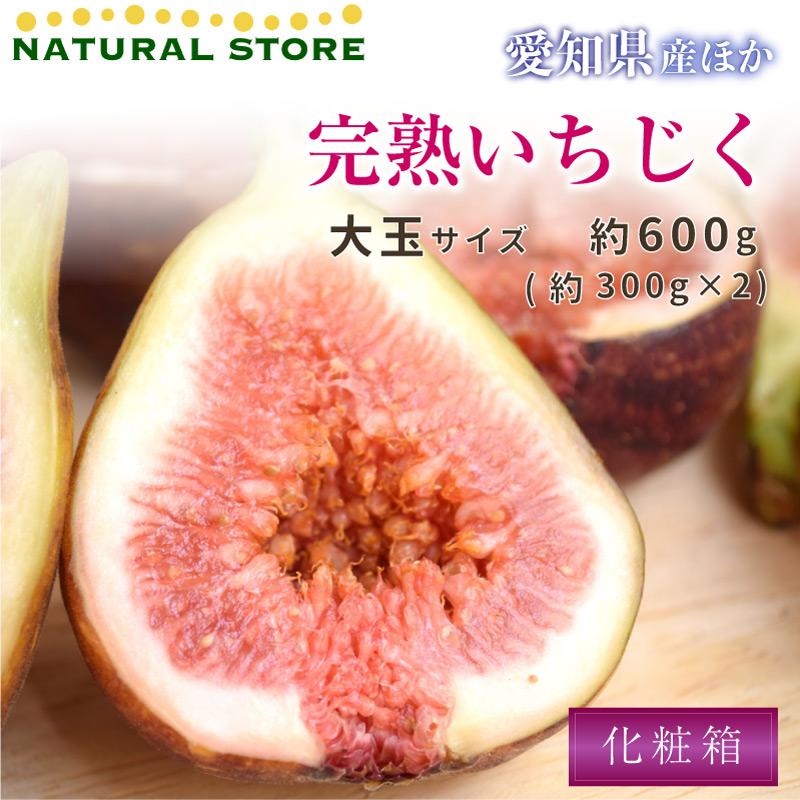 激安正規 予約 7月1日 8月31日のご納品 完熟いちじく 約600g 大玉 約300g X 2 化粧箱 300g 2p 御中元 お中元 ギフト