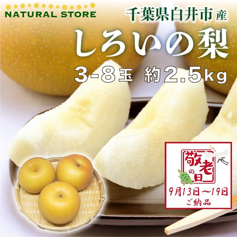アウトレット 送料無料 しろいの梨 和梨 約 2 5kg 千葉県 白井産 白井ブランド 幸水 豊水 あきづき 新高 秋のお彼岸 秋ギフト 敬老の日 なし 秋月 贈答用 通販 最短順次発送 高級な