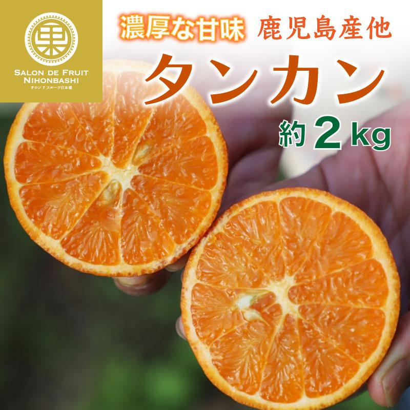 予約 23年2月中下旬頃から発送 タンカン 約2kg 鹿児島産ほか 柑橘 たんかん みかん Tankan2k サロンドフルーツ 日本橋 通販 Yahoo ショッピング