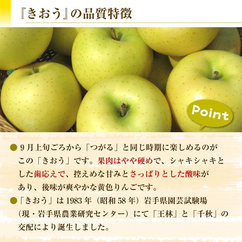 つがる きおう 食べ比べ 各3玉 大玉 約2kg 秋ギフト 津軽 黄王 りんご リンゴ 長野県 青森県 早生りんご 林檎 果実専用化粧箱 予約 9月1日 9月30日の納品 Tsugaru Kiou2k Natural Stores 通販 Yahoo ショッピング