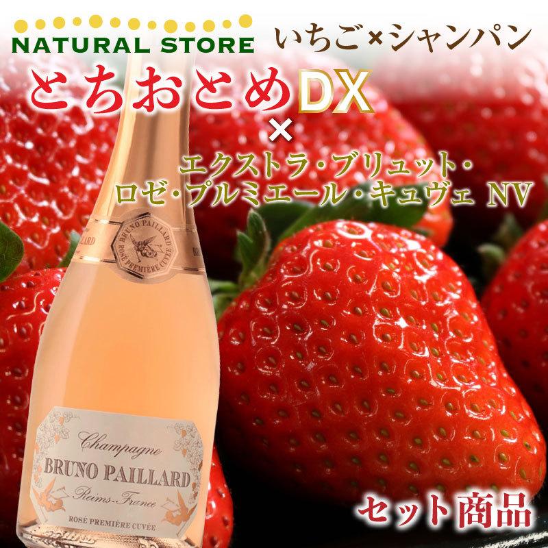 春夏新色 遅れてごめんね ホワイトデー お返し かわいい いちご 苺 生花付き とちおとめ エクストラ ブリュット ロゼ シャンパン ギフト 3月15日以降のお届け 人気ショップが最安値挑戦 Www Tecbios Com