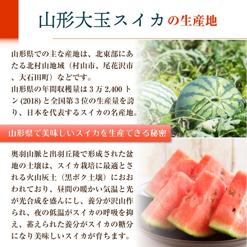 高知インター店】大玉スイカ 3L 2玉 山形県産 スイカ 西瓜 すいか 高知県産スイカ大玉、即購入OK