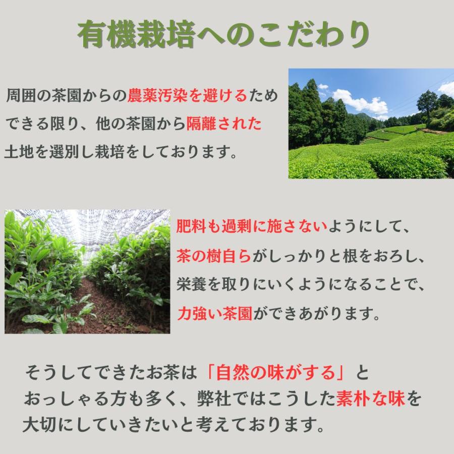 有機抹茶 30g缶入 オーガニック抹茶 京都・宇治産 有機栽培茶100