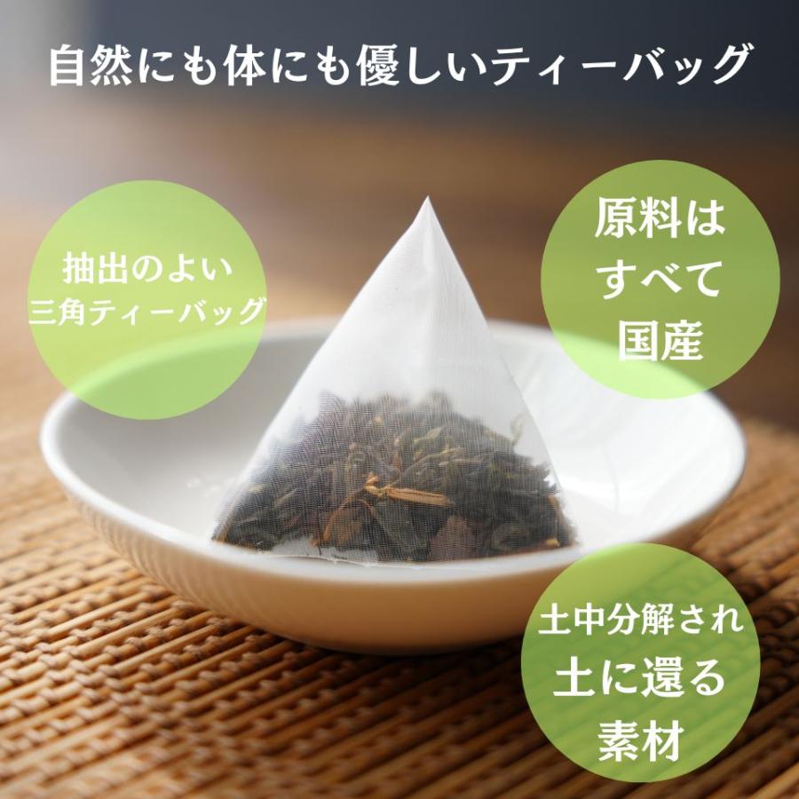永田茶園 お茶 有機 オーガニック 番茶 青柳（ティーバッグ 3g