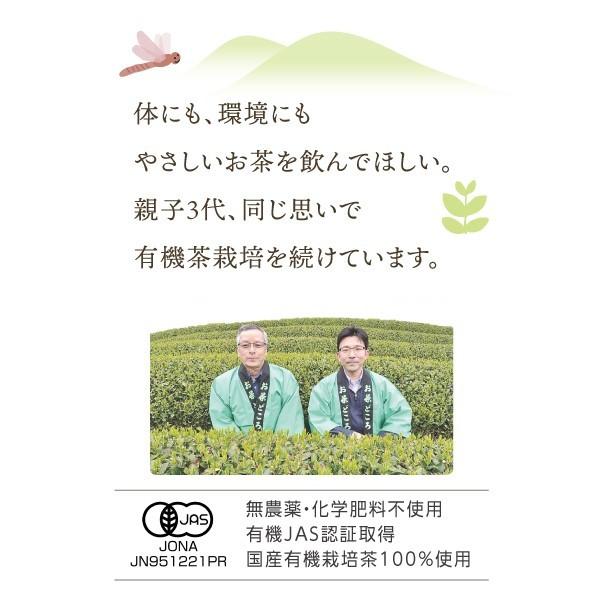 永田茶園 お茶 有機 オーガニック 特上 煎茶 抹茶 入り（ティー