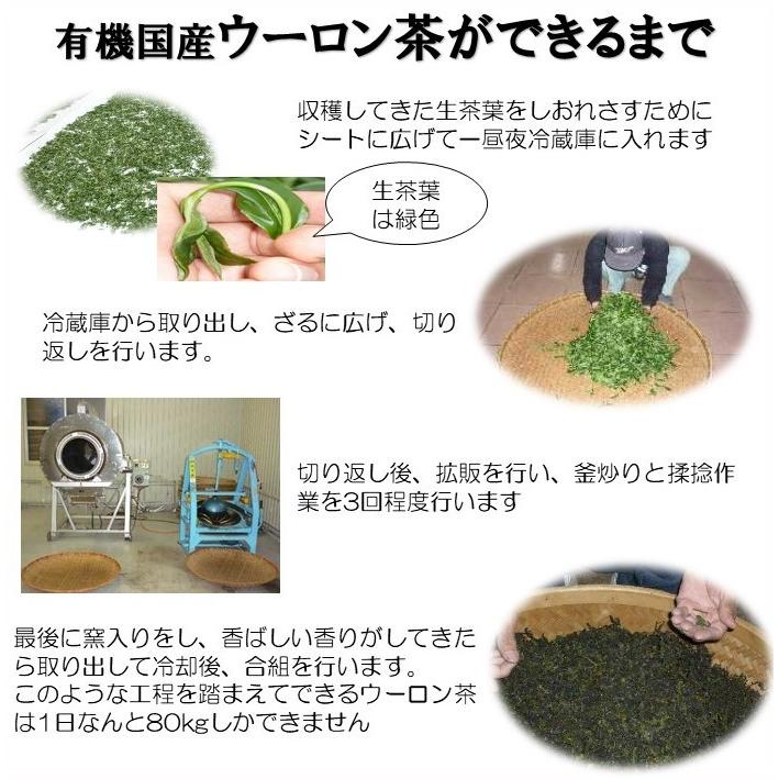 お茶 オーガニック 有機 国産 烏龍茶（ティーバッグ 3g×15teabags）ORGANIC JAPANESE Oolong tea  :7t-7o-tb:京都・宇治 永田茶園 - 通販 - Yahoo!ショッピング