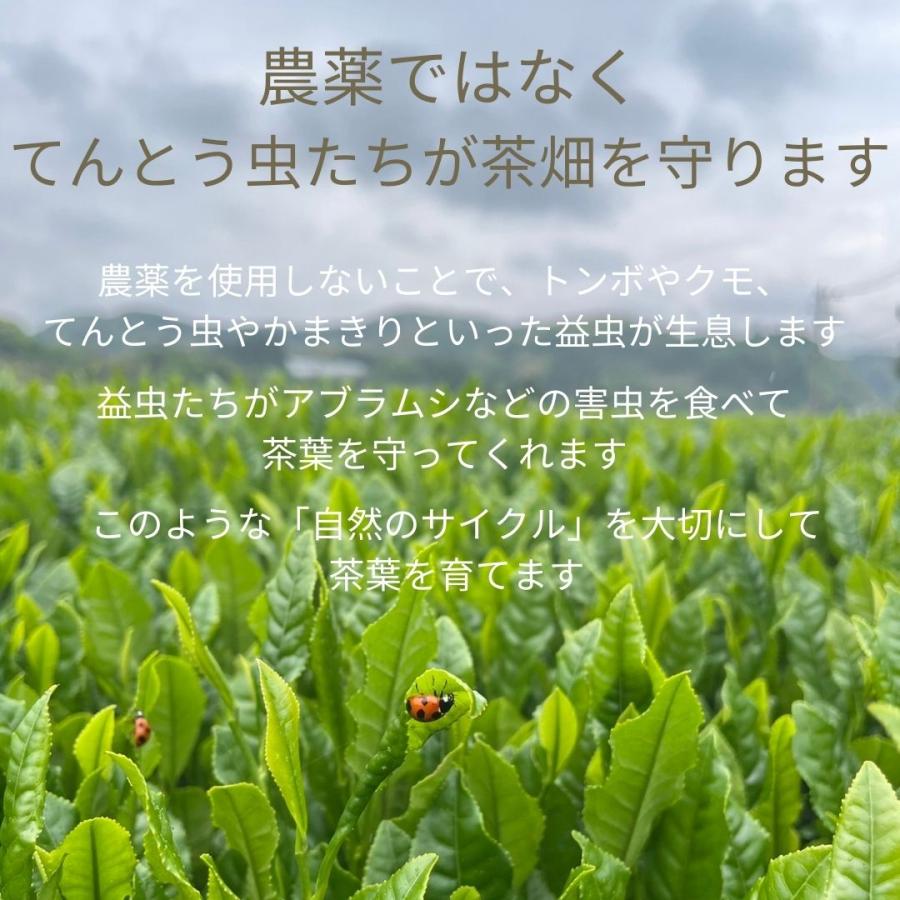 有機玄米茶 抹茶入り（リーフ）200g　オーガニック 有機茶 無農薬 有機JAS認定 永田茶園 Organic genmaicha with matcha