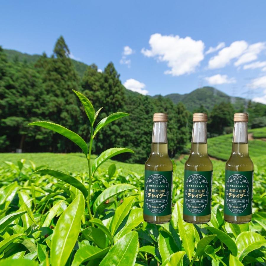 抹茶サイダー 250ml 3本入り オーガニック 抹茶 炭酸飲料 和風