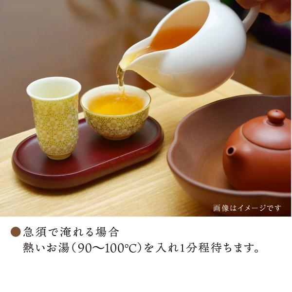 永田茶園 有機 国産べにふうき烏龍茶（リーフ）100g 和烏龍茶