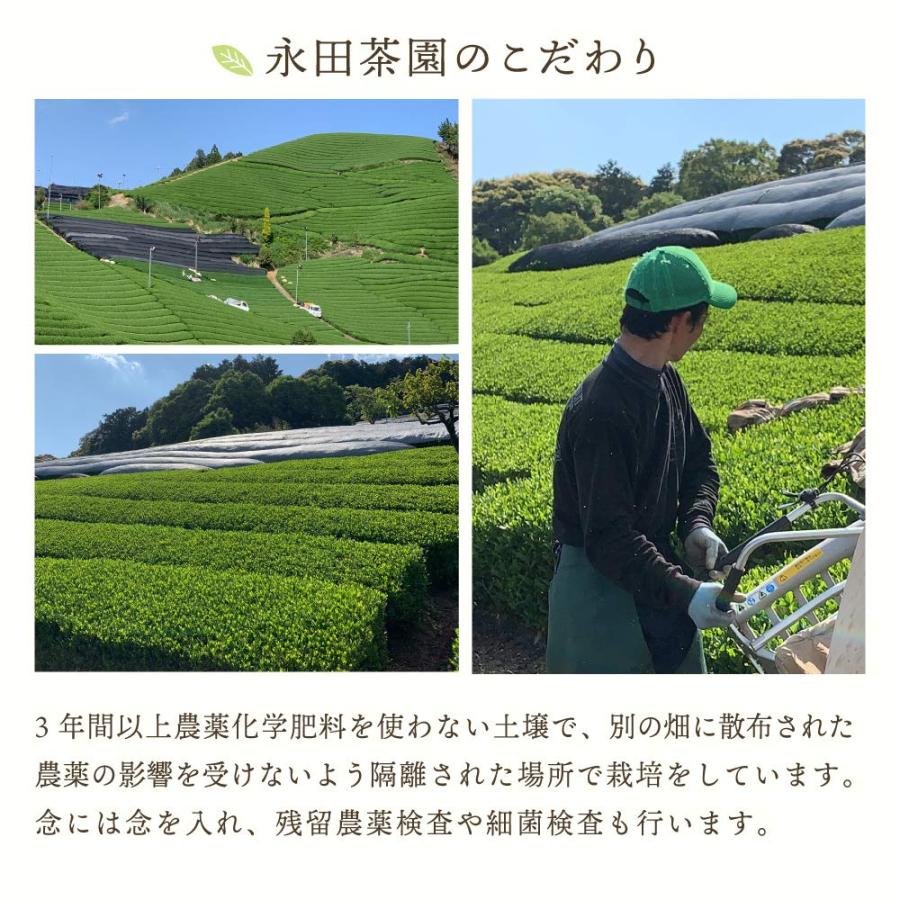 【特上】有機特上煎茶（リーフ）100g オーガニック 有機茶 国産 有機JAS認定 永田茶園 Prime organic sencha steeped tea｜nagata-chaen｜04