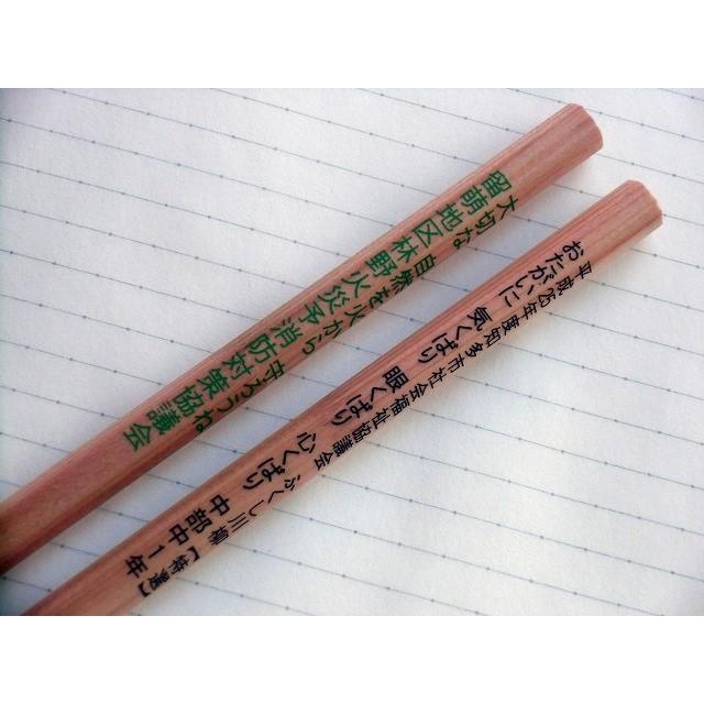 名入れ鉛筆 木物語 ８９００の鉛筆に文字をお入れいたします 運動会の記念品 イベントの粗品 プレゼントにいかがですか 鉛筆ダース 240本 1 ながた文具店 通販 Yahoo ショッピング