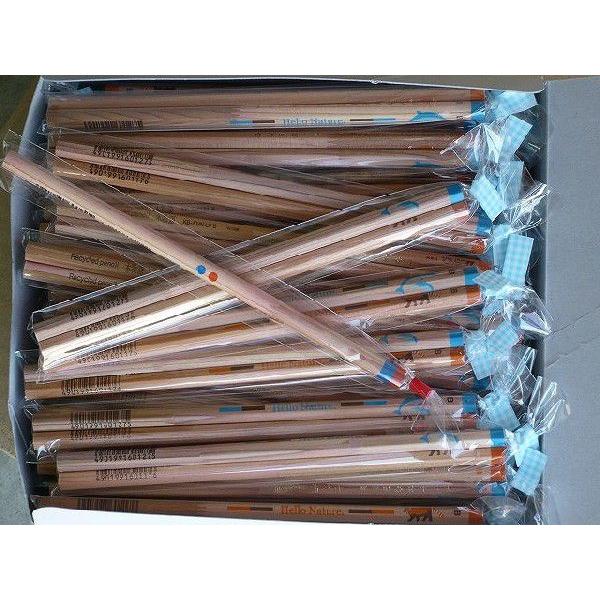 名入れ 文字 言葉 文字入れ可能 名入れ鉛筆 ハローネイチャー かきかた鉛筆 木物語 イルカ絵柄のかきかた鉛筆 トンボ鉛筆 ながた文具店 通販 Yahoo ショッピング