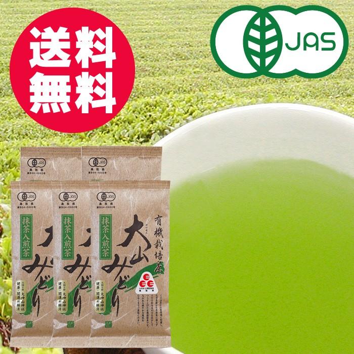 緑茶(オーガニック)煎茶 送料無料 メール便 お茶 日本茶 緑茶 オーガニック 大山みどり 有機