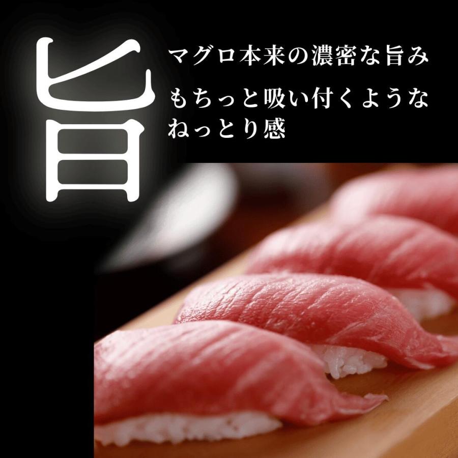 本まぐろ中トロ500g約5人前 山口県長門市油谷湾養殖 本マグロ 柵 刺身