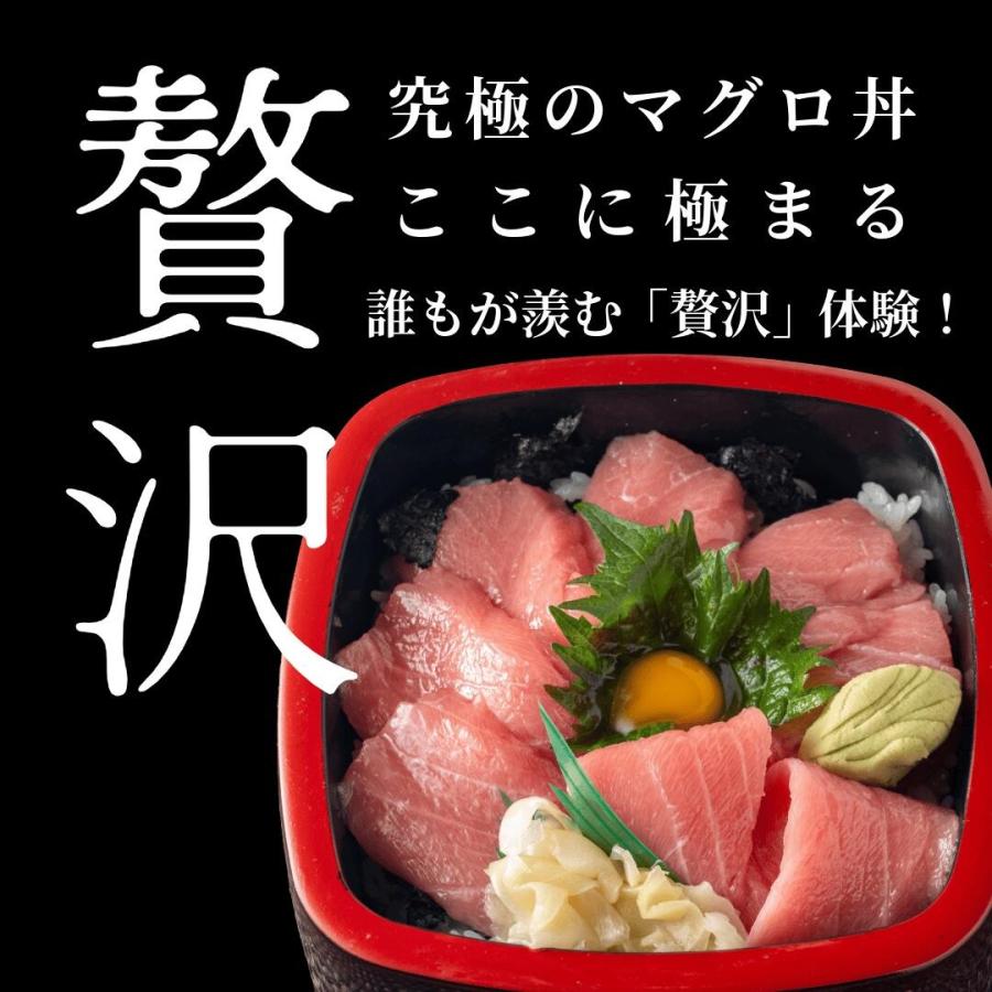 本まぐろ中トロ500g約5人前 山口県長門市油谷湾養殖 本マグロ 柵 刺身