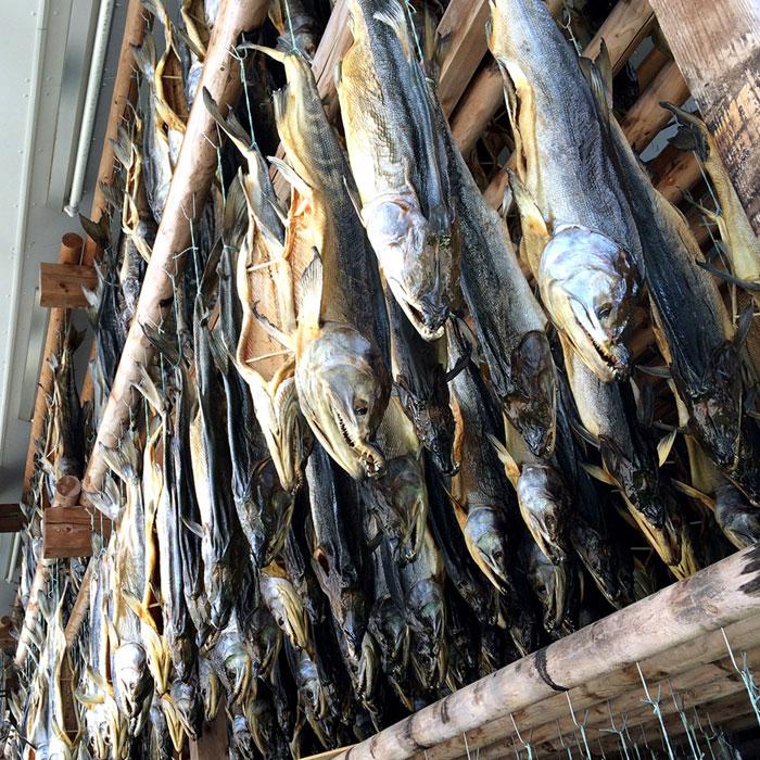永徳 鮭の酒びたし 40g 3