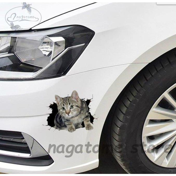 車用品 カー用品 パーツ 外装 エアロパーツ ステッカー デカール ユニーク ねこ 個性的 簡単 グレー ブラウンシャープデザイン おしゃれ クラシック Ng01 Gmcw276 永留幹也 通販 Yahoo ショッピング