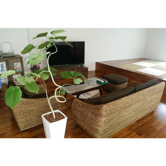 ソファー 高品質 ウォーターヒヤシンス 3Pソファ 3人 三人掛け バリ