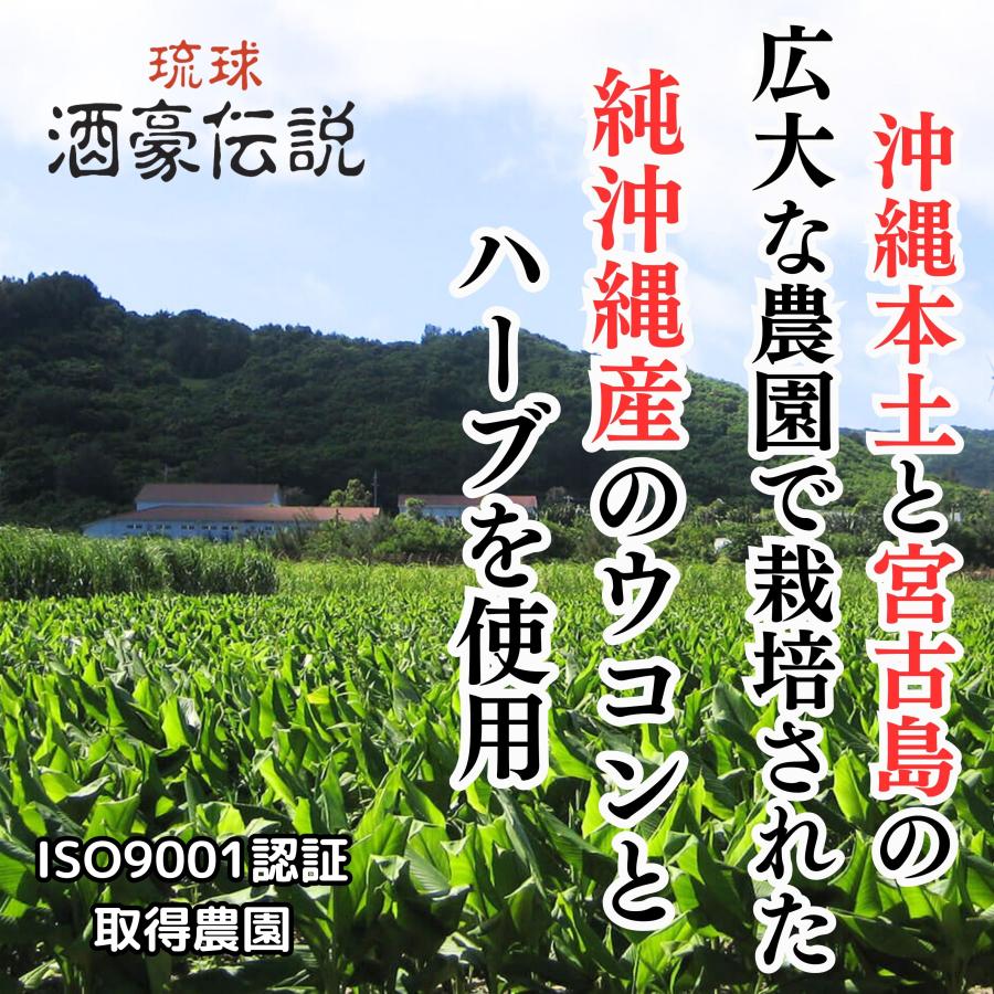 琉球酒豪伝説 6包入り×6袋 ウコン サプリメント 先着で100名様に+1包プレゼント！春ウコン(宮古島産)と秋ウコン新種(沖縄皇金)配合 二日酔い対策｜nagiyamadou｜12