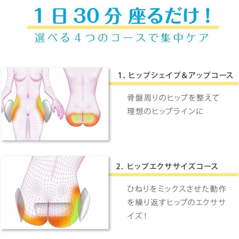 ツカモトエイム ポルト エアリーシェイプ ローズ AIM-FN050RS