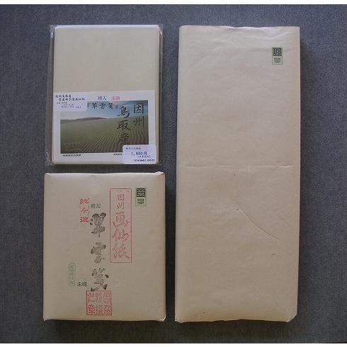 因州手漉画仙紙「楮入 翆雲箋　未晒」 半切100枚