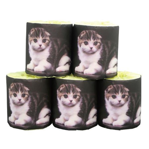 トイレットペーパー 販促用 仔猫 スコティッシュ ダブル30m 個包装100個