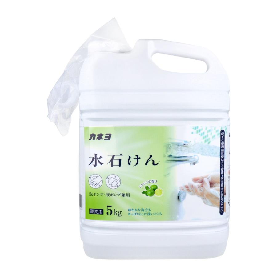 カネヨ石鹸 水石けん ハンドソープ 泡ポンプ/液ポンプ兼用 カネヨ石鹸 水石けん ハンドソープ 泡ポンプ/液ポンプ兼用