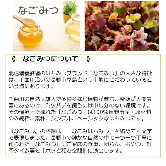 信州 長野市産百花はちみつ 国産純粋百花蜂蜜 なごみつチューブボトル