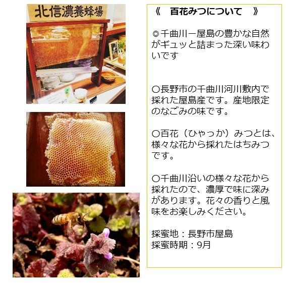 信州 長野市産百花はちみつ 国産純粋百花蜂蜜 なごみつチューブボトル
