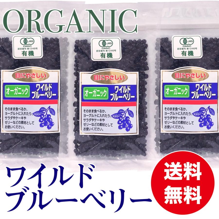 オーガニック ワイルドブルーベリー 100g ×３袋 有機ドライブルーベリー 乾燥フルーツ :0330-03:名古屋自然食品センター 通販  